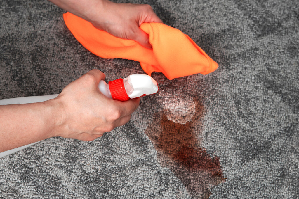 Squirting a dark red stain to clean a rug