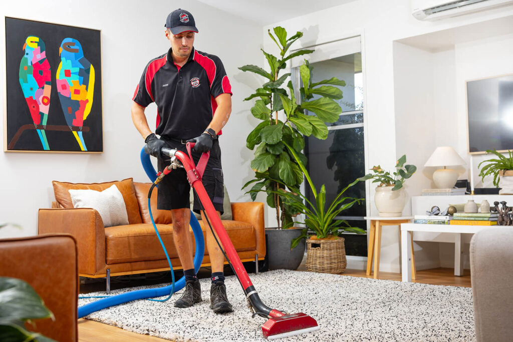 One of the professional stain removers at Stain Busters using a tool to clean a rug