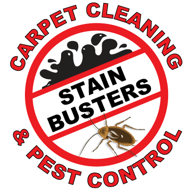 Home Page - Stain Busters Canberra