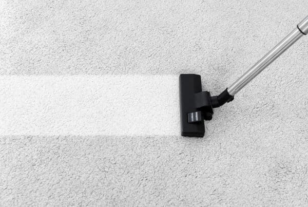 A Professional Carpet Cleaning Service