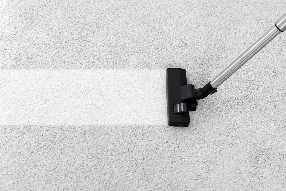 What To Expect During A Professional Carpet Cleaning Service