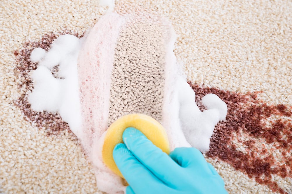 Top 10 Carpet Stains & How To Tackle Them